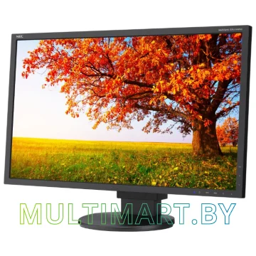 Монитор NEC MultiSync EA224WMi Black/Black